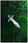 Picture52.png